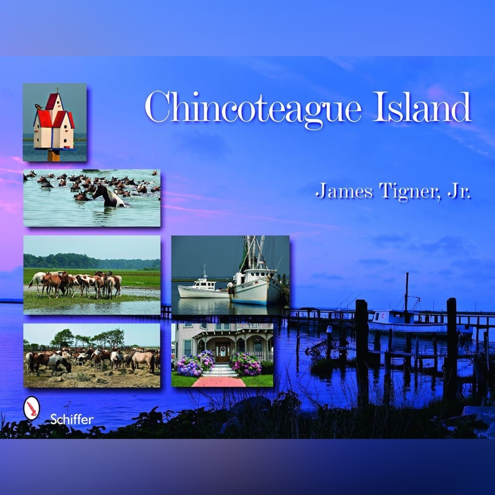 Chincoteague Island Book NWOT
